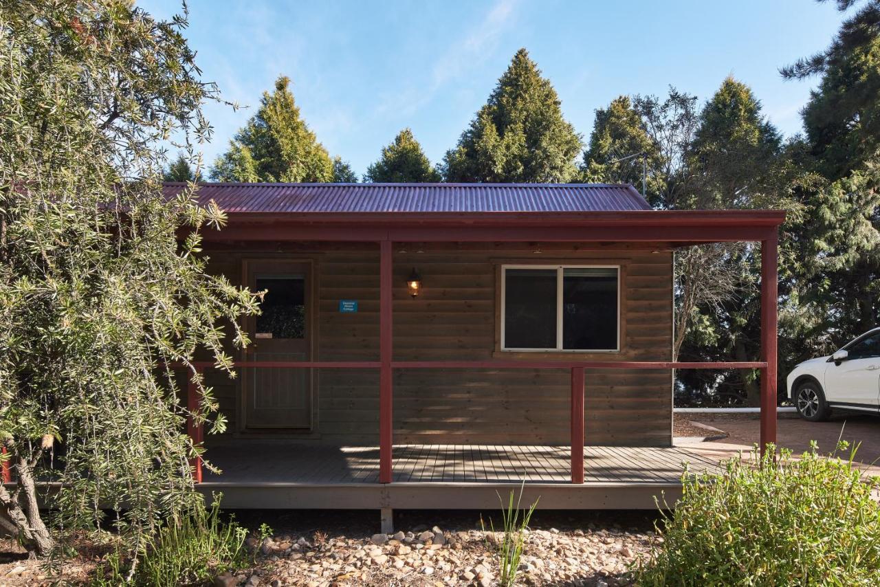 Nrma Bathurst Panorama Holiday Park Zewnętrze zdjęcie